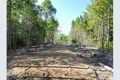 Lot 1-2 Off Clear Cut Lodge Road, Springfield, ME 04487 - Photo 1