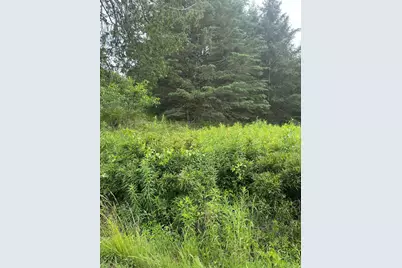 Lot 5 Soper Road, Orland, ME 04413 - Photo 1