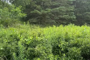 Lot 5 Soper Rd, Orland, ME 04413 - Photo 1