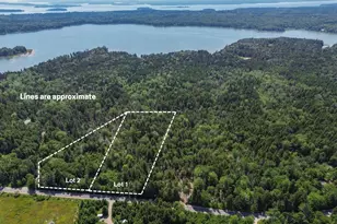 0 Flye Point, Brooklin, ME 04616 - Photo 1