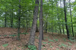 643 Mt Pisgah Rd, Winthrop, ME 04364 - Photo 1