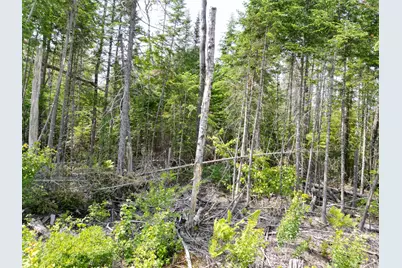 Lot 1,2, 11,12 Off Fogg Brook Road, Lowell, ME 04493 - Photo 1