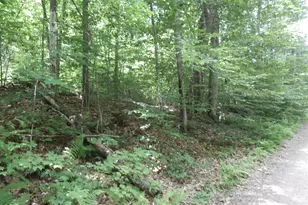 Lot 005 Hebo Hybo Rd, Acton, ME 04001 - Photo 1