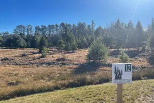 12 Forest Dr, Arundel, ME 04046 - Photo 1