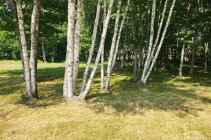 61 Water St, Howland, ME 04448 - Photo 1