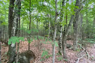 Map1Lot26 Daggett Hill, Athens, ME 04912 - Photo 1