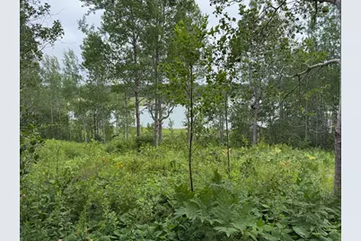 M10L200-1 Off Lyons Road, Lubec, ME 04652 - Photo 1