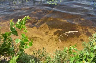 Lot 7 Wilderness Way S, Wesley, ME 04686 - Photo 1