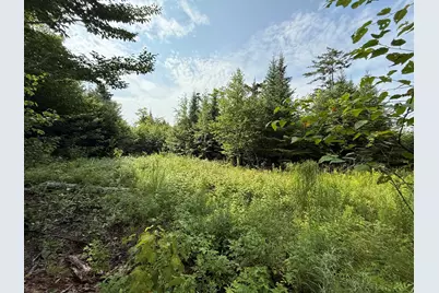 49 Black Bear Lane, Greenville, ME 04441 - Photo 1