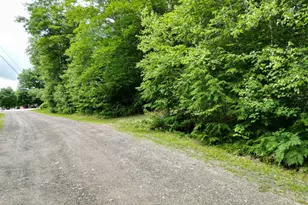 Lot 34 Forest Ave, Lincoln, ME 04457 - Photo 1