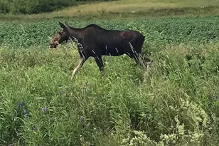 Map 2 Lot 21-A, Saint Agatha, ME 04772 - Photo 1