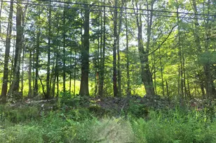 Lot82 Milbrook Rd, Bridgton, ME 04009 - Photo 1
