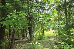 486 N High St, Bridgton, ME 04009 - Photo 1