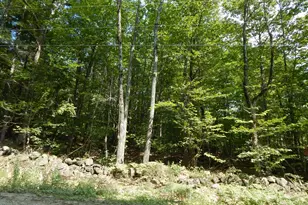 Lot 6 Maplecrest Rd, Parsonsfield, ME 04047 - Photo 1