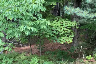 42 Greenville Rd, Monson, ME 04464 - Photo 1