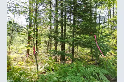 Lot 4 Fogg Brook Road, Lowell, ME 04493 - Photo 1