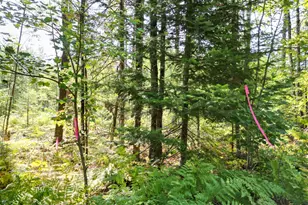 Lot 4 Fogg Brook Rd, Lowell, ME 04493 - Photo 1