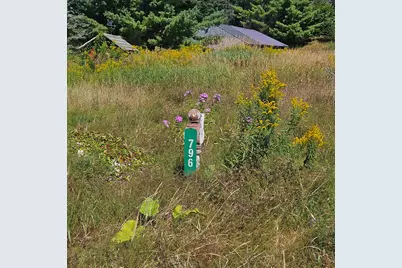 796 Main Street, Springfield, ME 04487 - Photo 1