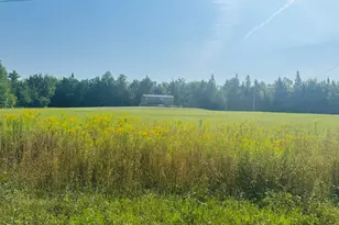 29 Salmon Lake Rd, Perham, ME 04766 - Photo 1