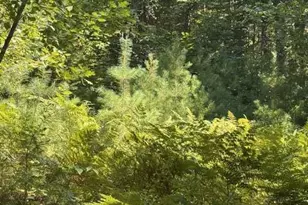 R-3 P/O 7C Old Dresden Rd, Wiscasset, ME 04578 - Photo 1