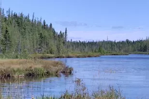 Lot 7 Caswell Woods Dernien Dr, Caswell, ME 04750 - Photo 1