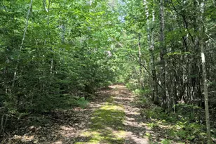 Lot 9A Maple Ridge Rd, Harrison, ME 04040 - Photo 1