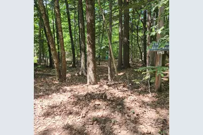 41 Busy Bee Road, Naples, ME 04055 - Photo 1