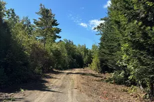 Lot 10 Route 137, Freedom, ME 04941 - Photo 1