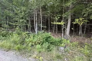 Lot 5-D Drewry Ln, Leeds, ME 04263 - Photo 1