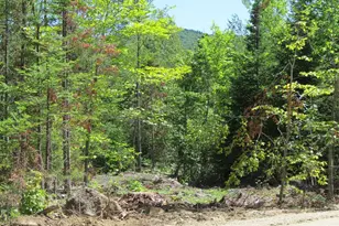 22 97 Concord Pond Rd, Woodstock, ME 04255 - Photo 1