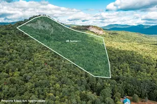 M9 L11-1 Egypt Mountain Rd, Bethel, ME 04217 - Photo 1