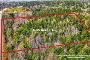 0 Swamp Rd, Gouldsboro, ME 04607 - Photo 1