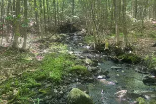 M5-L31 32 Gray, Harmony, ME 04942 - Photo 1