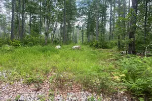 0 Hio Ridge Rd, Bridgton, ME 04009 - Photo 1