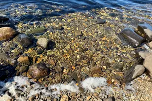 21B-011 Railroad Bed Rd, Lake View Plantation, ME 04463 - Photo 1