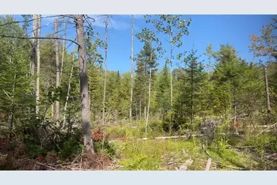 Tbd Wakefield Road, Newfield, ME 04095 - Photo 1