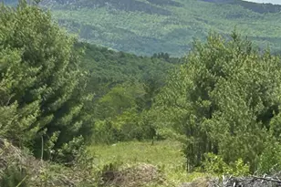 Lot #9 2nd St, Bethel, ME 04217 - Photo 1