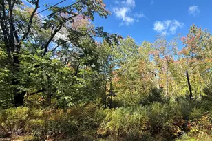 796 Tripptown Rd, Hiram, ME 04041 - Photo 1