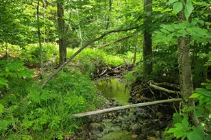 40 Bubier Rd, Wilton, ME 04294 - Photo 1