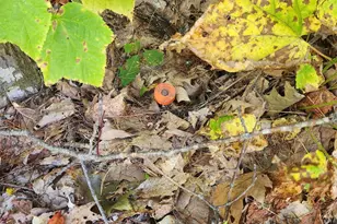 14D Thomas Hill Rd, Norway, ME 04268 - Photo 1