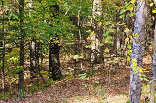 Lot 65 Church St, Brownville, ME 04414 - Photo 1