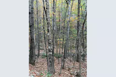 4.5 Sunrise Lane, Moscow, ME 04920 - Photo 1