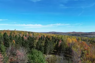 350 Currie Rd, Smyrna, ME 04780 - Photo 1