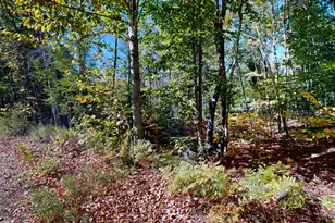 Lot 21-A Station Rd, Hebron, ME 04238 - Photo 1