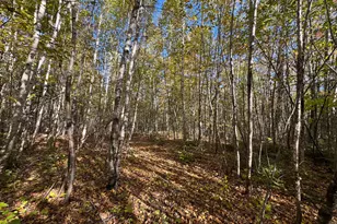 M4 Lot 1-4 Woodland Dr, Carmel, ME 04419 - Photo 1