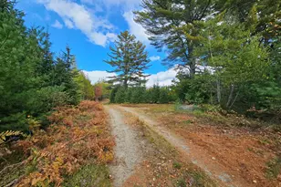 Green Field Off Georges Pond Rd, Franklin, ME 04634 - Photo 1