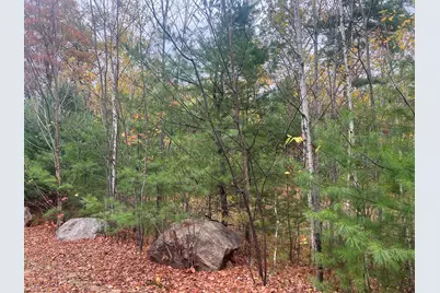 Lot 29 Deer View, Bethel, ME 04217 - Photo 1