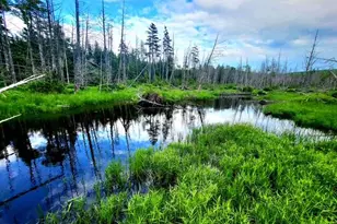 Lot 11 Morrison Brook Acres, Oakfield, ME 04763 - Photo 1