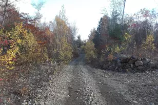 M70 L2 Airline Rd, Alexander, ME 04694 - Photo 1