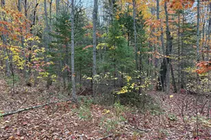 41 Stream Rd, Winterport, ME 04496 - Photo 1